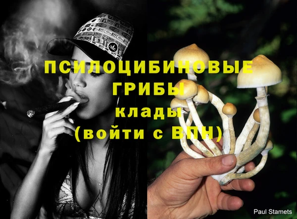 бутират Абинск