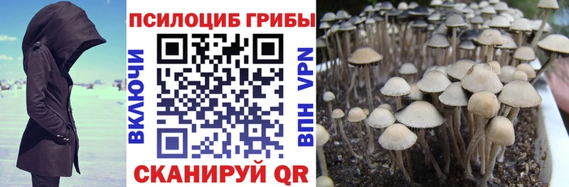 ОМГ ОМГ как зайти  Таштагол  Галлюциногенные грибы MAGIC MUSHROOMS 